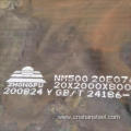 Professional Sales Nm400 Wear Resistant Steel Sheet